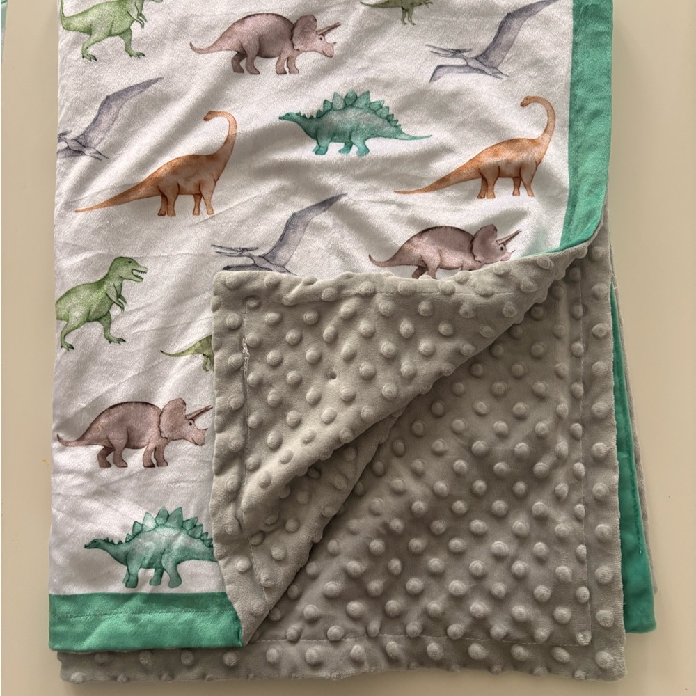 Dinosaur Print Baby Blanket with Green Trim